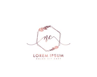 İlk harf NC güzellik el yazısı logo vektörü