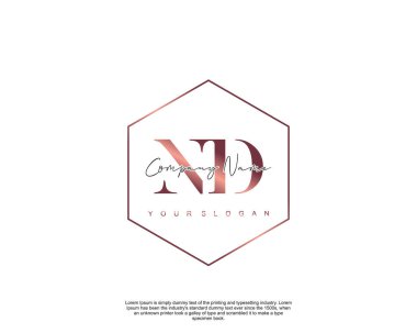 İlk harf ND güzellik el yazısı logo vektörü