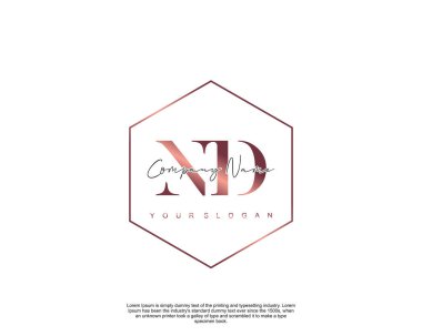 Initial letter ND beauty handwriting logo vector clipart