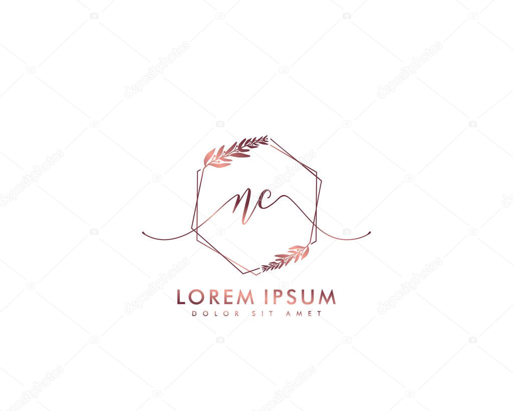 Initial letter NC beauty handwriting logo vector