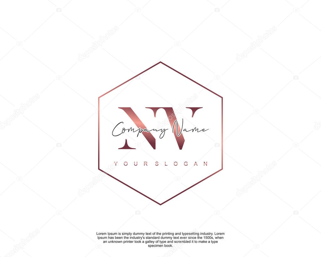 Initial letter NV beauty handwriting logo vector