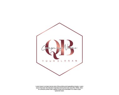 İlk harf QB güzellik el yazısı logo vektörü