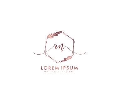 İlk harf RM güzellik logo vektörü
