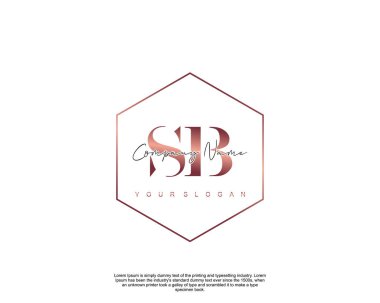 İlk harf SB güzellik logo vektörü