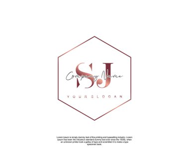 İlk harf SJ güzellik el yazısı logo vektörü