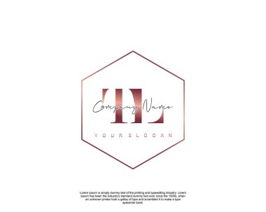 İlk harf TL güzellik logo vektörü