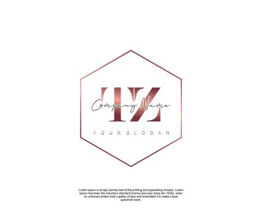 İlk harf TZ güzellik el yazısı logo vektörü