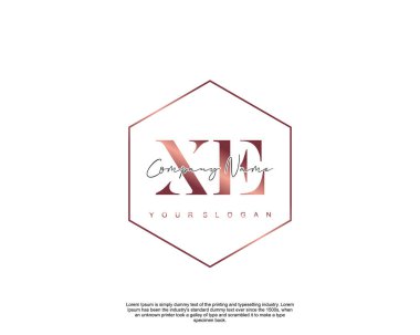 İlk harf XE güzellik logo vektörü