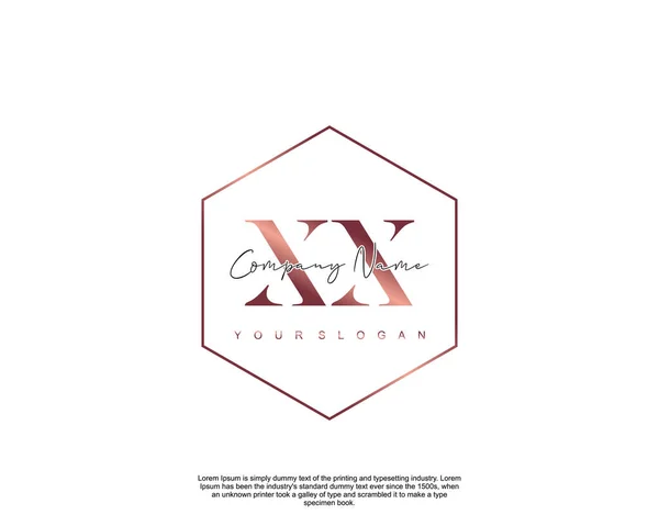 Carta Inicial Belleza Escritura Mano Logo Vector — Vector de stock