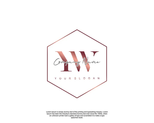 Letra Inicial Belleza Caligrafía Logo Vector — Vector de stock