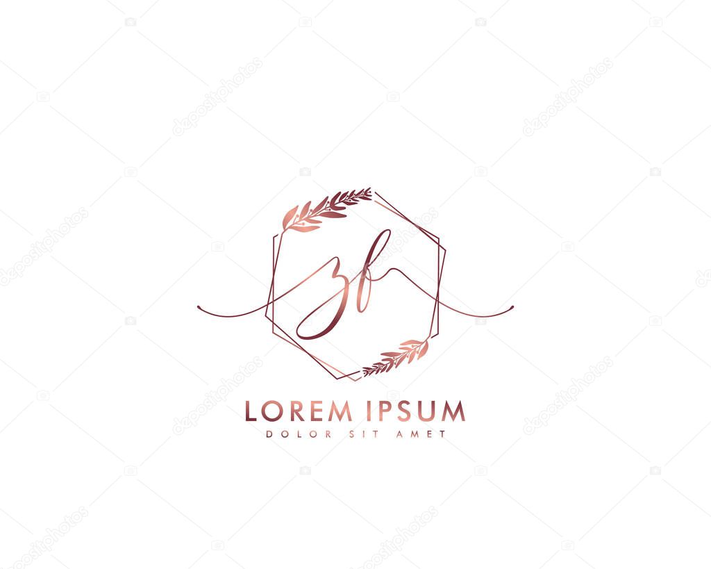 Initial letter ZF beauty handwriting logo vector