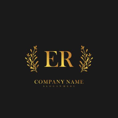 İlk harf ER güzellik el yazısı logo vektörü