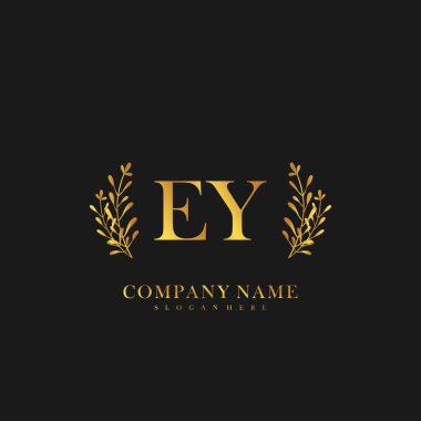 İlk harf EY güzellik el yazısı logo vektörü