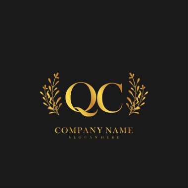 İlk harf QC güzellik el yazısı logo vektörü