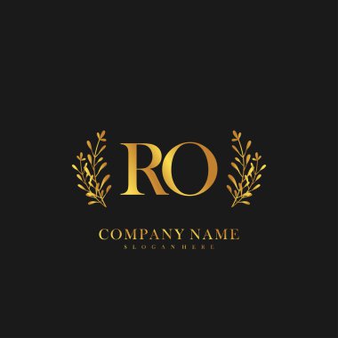 İlk harf RO güzellik logo vektörü