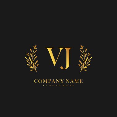 İlk harf VJ güzellik el yazısı logo vektörü