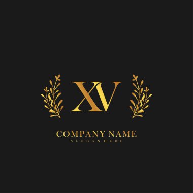 İlk harf XV güzellik el yazısı logo vektörü