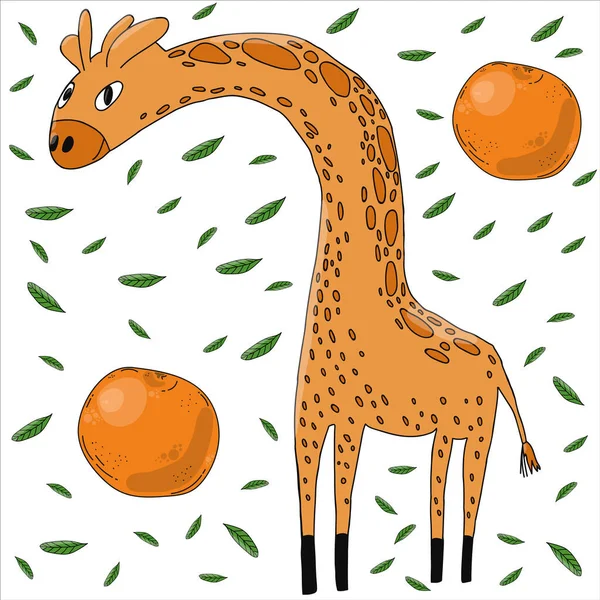 Жираф і цитрус малювали плоскою рукою. Африканські персонажі карикатур. Жираф і апельсини, танчерини і листя скандинавського стилю. Дикий ссавець на задньому плані цитрусових. — стоковий вектор