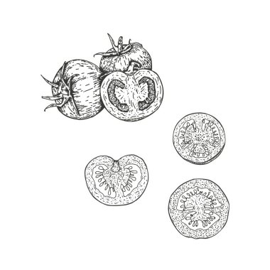 Elle çizilmiş domateslerin vektör çizimi. Domatesleri ayır ve ikiye böl. Sebze oyma illüstrasyon stili. Vejetaryen yemeklerin detaylı çizimi. Tarım ürünleri