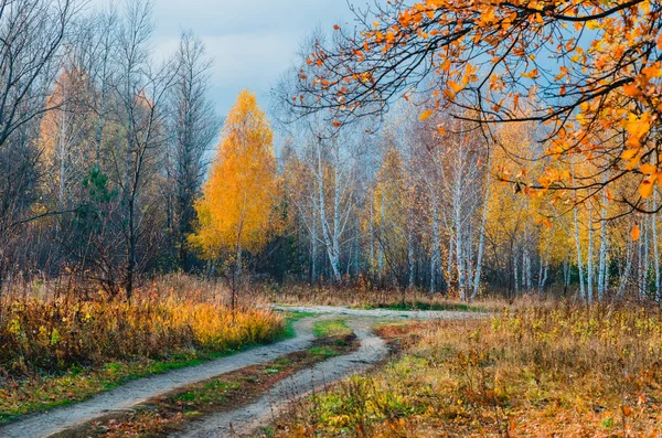 Луг Пойме Реки Осенью — стоковое фото