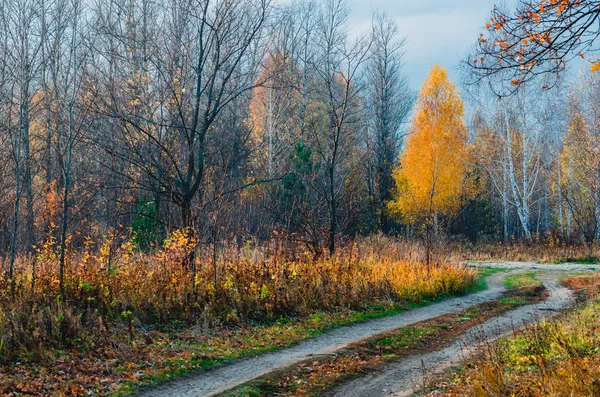 Луг Пойме Реки Осенью — стоковое фото