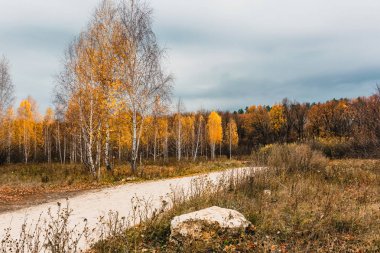 tipik orman-bozkır manzara-taşkın yatağının meadows Rusya Volga Nehri'nin orta ulaşır 