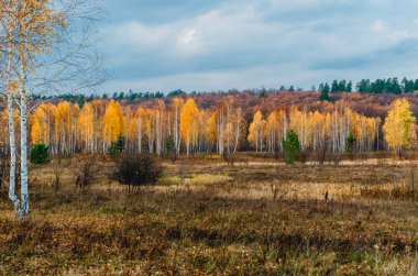 çayırlar, orta sahasının içinde Volga Nehri'nin FLOODPLAIN göllerde sonbaharda yakınındaki, tipik sahne alanının Ilıman karasal iklim 
