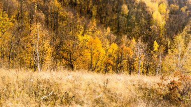 Samara Volga Nehri veya kıyı alanları, nehrin ortalama akış için tipik manzaralar yakınında bulunan dağ üzerinden görüntülemek 