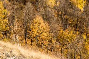 Samara Volga Nehri veya kıyı alanları, nehrin ortalama akış için tipik manzaralar yakınında bulunan dağ üzerinden görüntülemek 