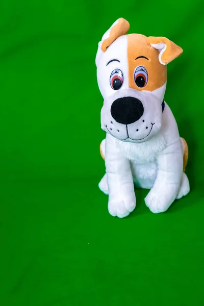 Дитяча Іграшка Зеленому Фоні Собаки — стокове фото