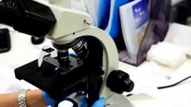 hematolojik profil, bir mikroskop kullanarak araştırma ile tıbbi laboratuvar 