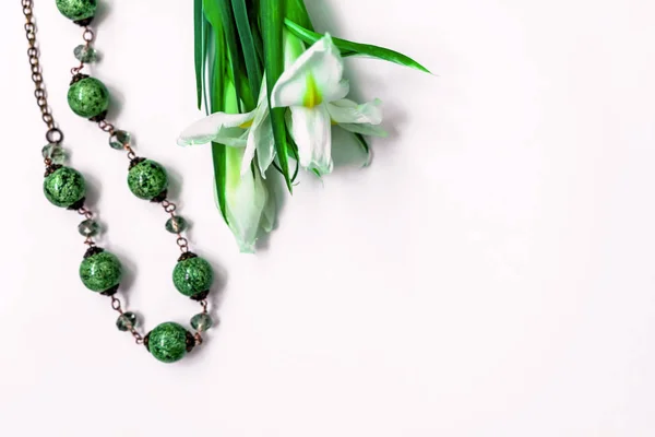 Narcisos Perlas Verdes — Foto de Stock