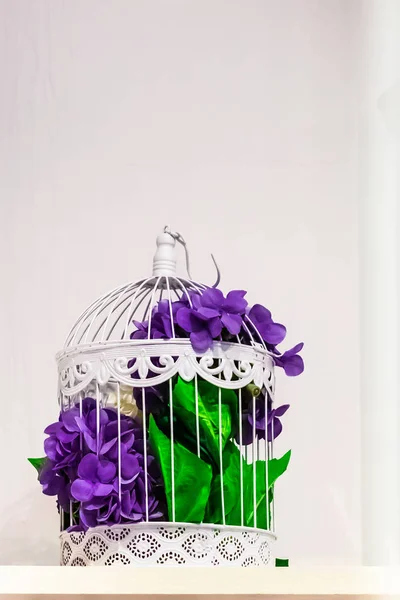 Flor Como Violeta Flor Jaula Decorativa — Foto de Stock