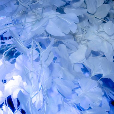 tatil dekorasyon-arka plan veya doku 