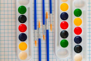 hücrelerile bir levha üzerinde çizim için suluboya boyalar ve fırçalar 