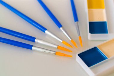 hücrelerile bir levha üzerinde çizim için suluboya boyalar ve fırçalar 