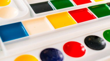 hücrelerile bir levha üzerinde çizim için suluboya boyalar ve fırçalar 
