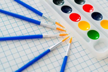 hücrelerile bir levha üzerinde çizim için suluboya boyalar ve fırçalar 