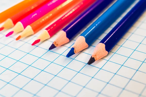 Buntstifte Auf Einem Blatt Papier Der Schachtel — Stockfoto