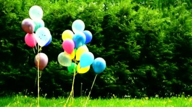 renk balonları - yaz aylarında doğada çocuk bayramı dekorasyonu