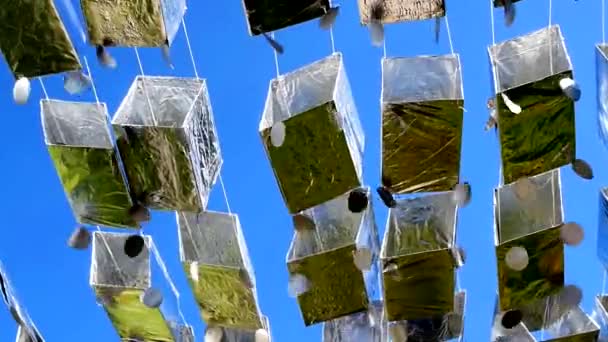 Calle Decoración Vacaciones Terraplenes Verano Día Soleado — Vídeo de stock