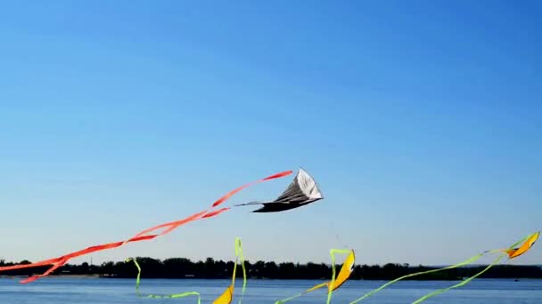在靠近河流或海洋的海滩上以鱼的形式放风筝 — 图库视频影像