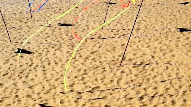 Ombres Sur Plage Cerfs Volants — Video