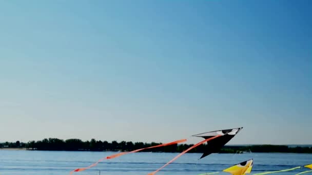 川や海の近くのビーチの上に魚の形の凧 — ストック動画