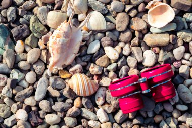 kabuklarla çakıl plaj 