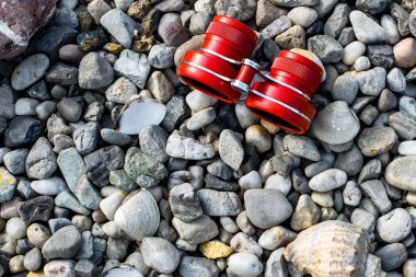 kabuklarla çakıl plaj 