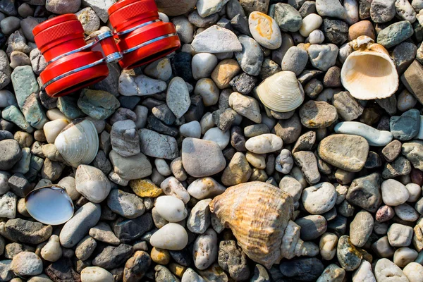 Kiezelstrand Met Schelpen — Stockfoto