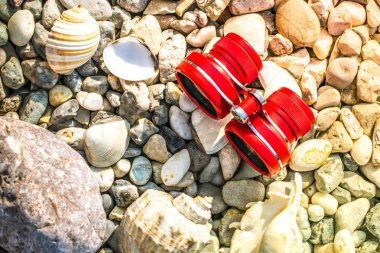 kabukları ile çakıl plajda kırmızı veya pembe dürbün 