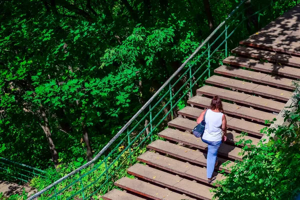 在阳光明媚的夏日 人们在灌木丛中走上楼梯 — 图库照片