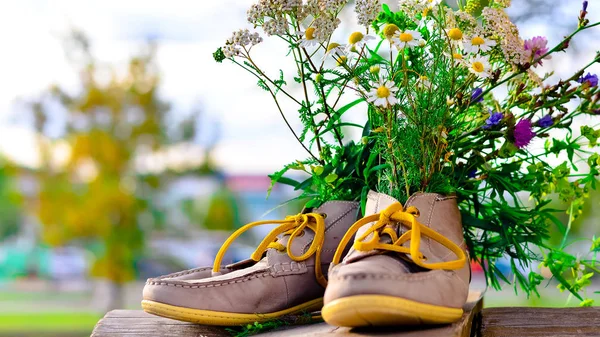 Ramo Flores Silvestres Con Predominio Manzanilla Zapatos Hombre Mujer — Foto de Stock